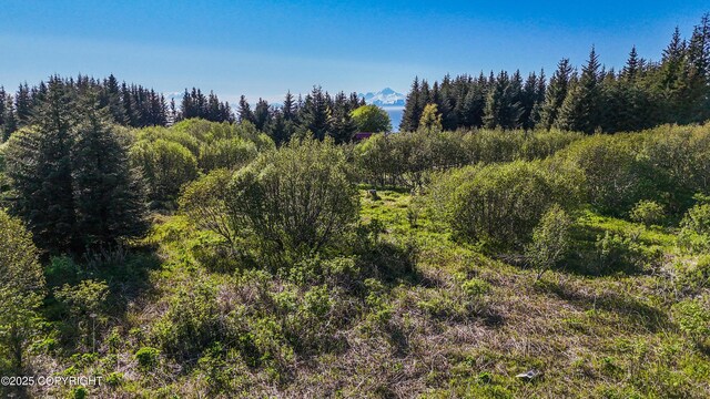 71265 Kallman Dr, Anchor Point, AK 99556 - view of wooded area