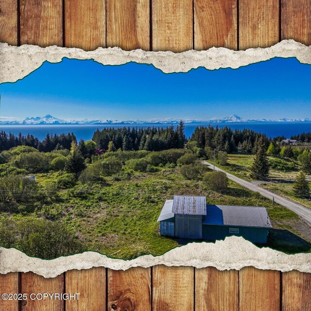 71265 Kallman Dr, Anchor Point, AK 99556 - mountain view