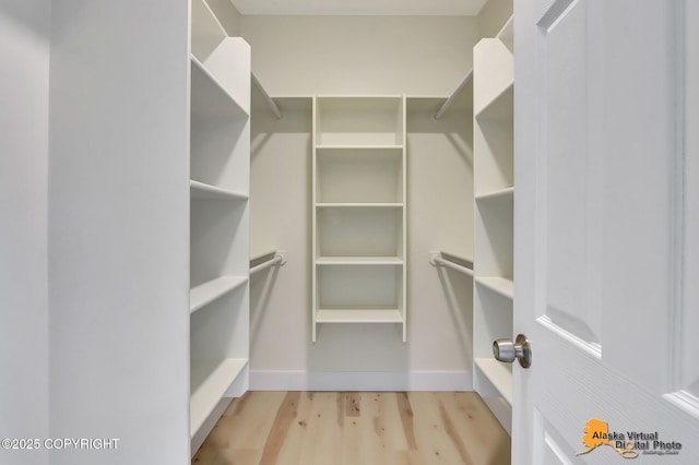 spacious closet featuring wood finished floors
