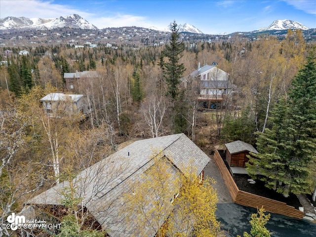 view of mountain feature with a wooded view