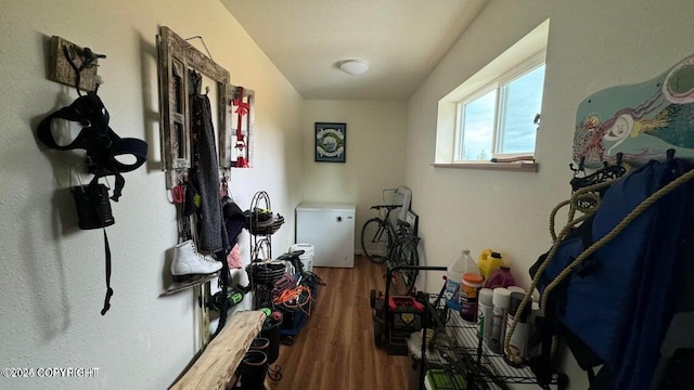 17225 Kimeluk St, Ninilchik, AK 99639 - corridor with wood finished floors
