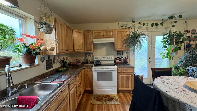 17225 Kimeluk St, Ninilchik, AK 99639 - kitchen with dark countertops, a sink, light wood finished floors, white range with electric stovetop, and under cabinet range hood