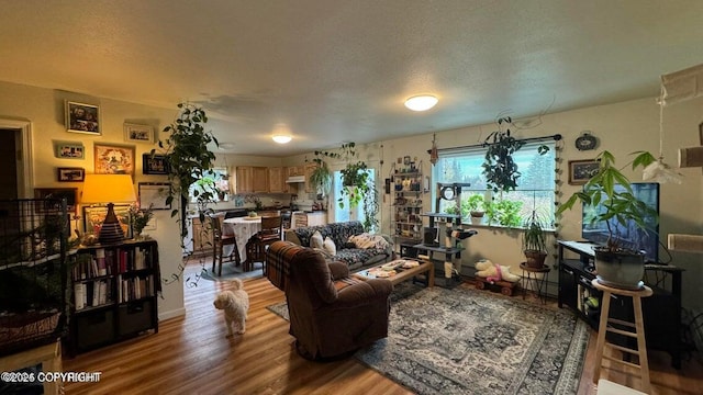 17225 Kimeluk St, Ninilchik, AK 99639 - living room with light wood-type flooring