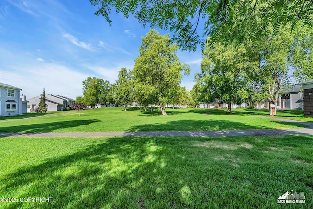 3294 Montpelier Ct # 12-E, Anchorage, AK 99503 - view of green lawn