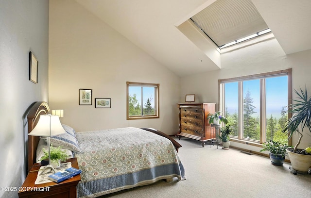 10141 Middlerock Rd, Anchorage, AK 99507 - carpeted bedroom with high vaulted ceiling, multiple windows, and a skylight
