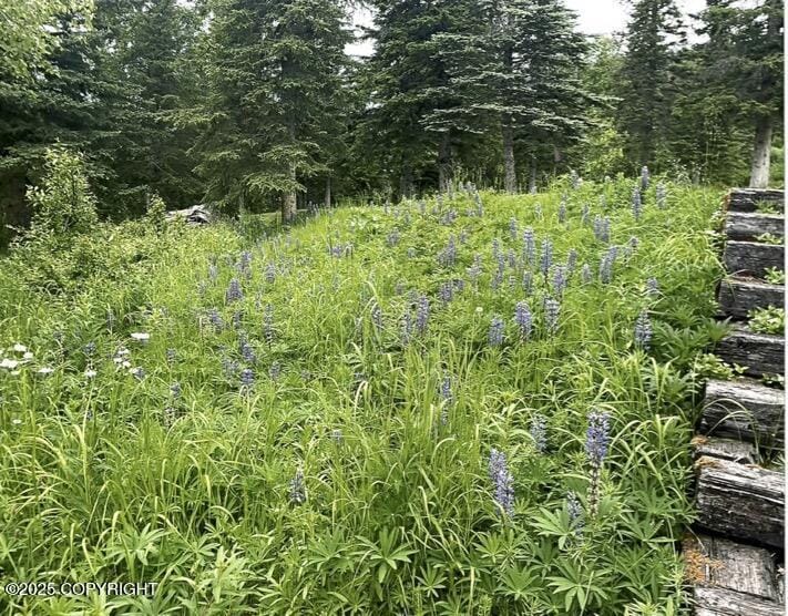 10141 Middlerock Rd, Anchorage, AK 99507 - view of local wilderness