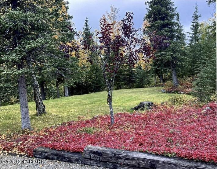 10141 Middlerock Rd, Anchorage, AK 99507 - view of green lawn