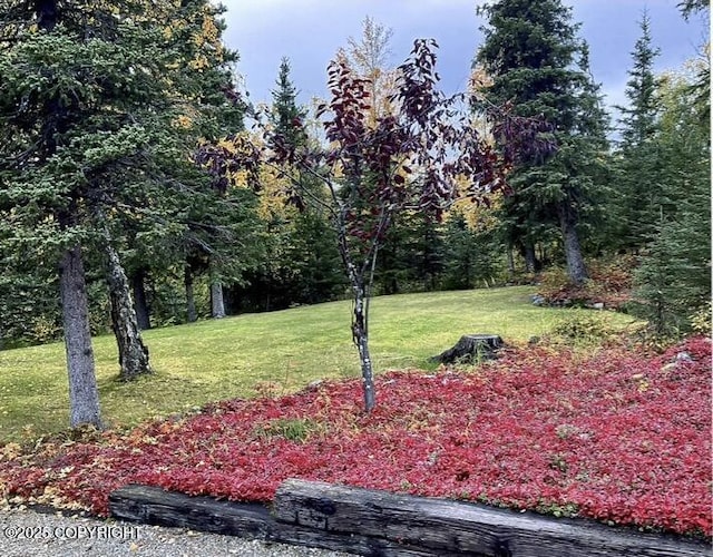 10141 Middlerock Rd, Anchorage, AK 99507 - view of green lawn