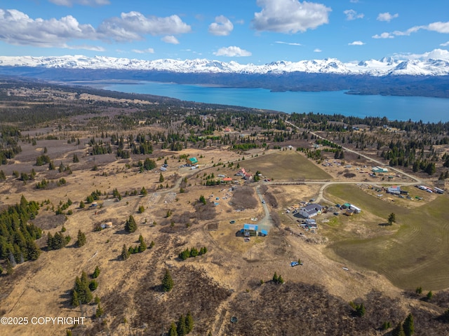 bird's eye view of a water and mountain view