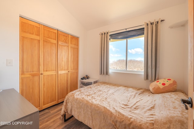 bedroom featuring wood finished floors, vaulted ceiling, and a closet