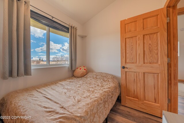 bedroom with lofted ceiling and wood finished floors