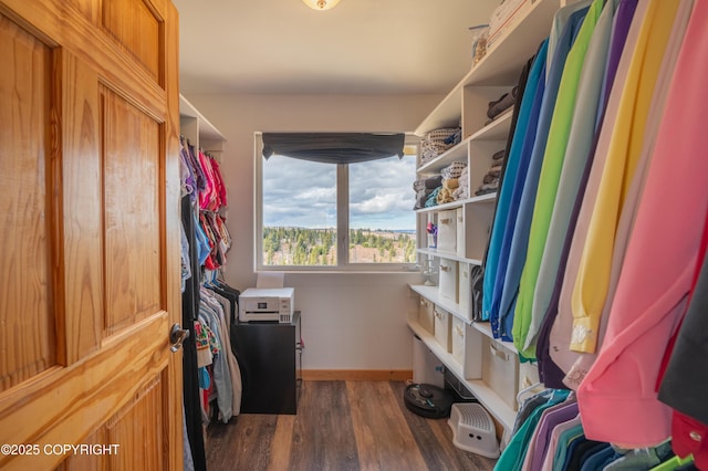 spacious closet with wood finished floors