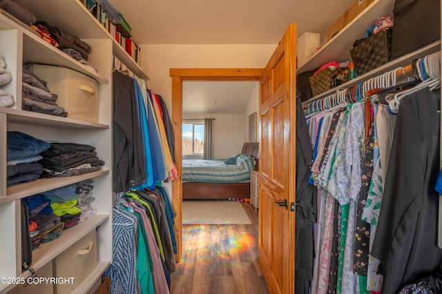 spacious closet with wood finished floors