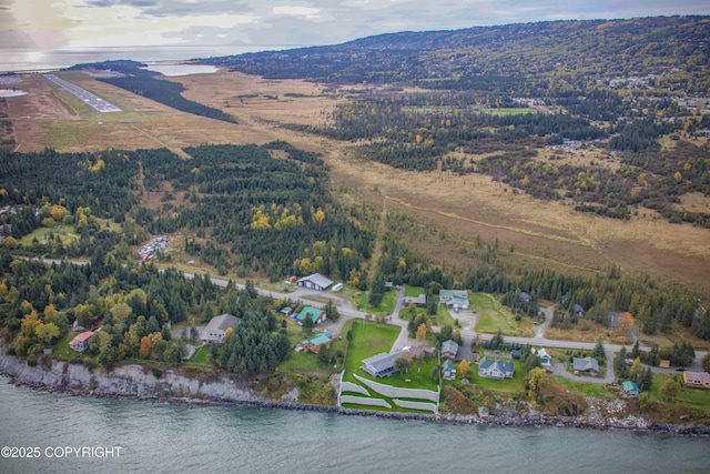 birds eye view of property with a view of trees and a water and mountain view