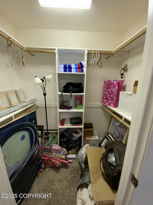 view of spacious closet