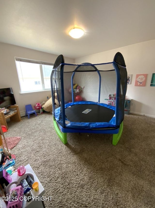 recreation room featuring baseboards and carpet flooring