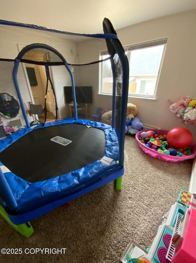 game room featuring carpet floors