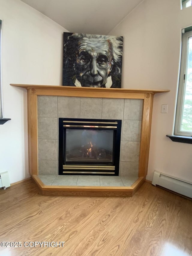 room details featuring wood finished floors and a fireplace