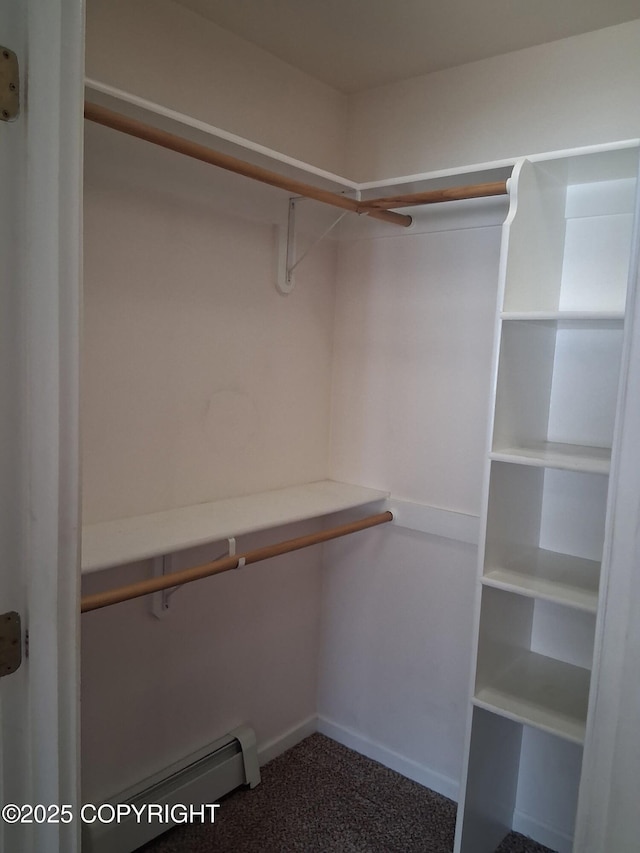 1012 Channel Way, Kenai, AK 99611 - walk in closet with a baseboard radiator and dark carpet