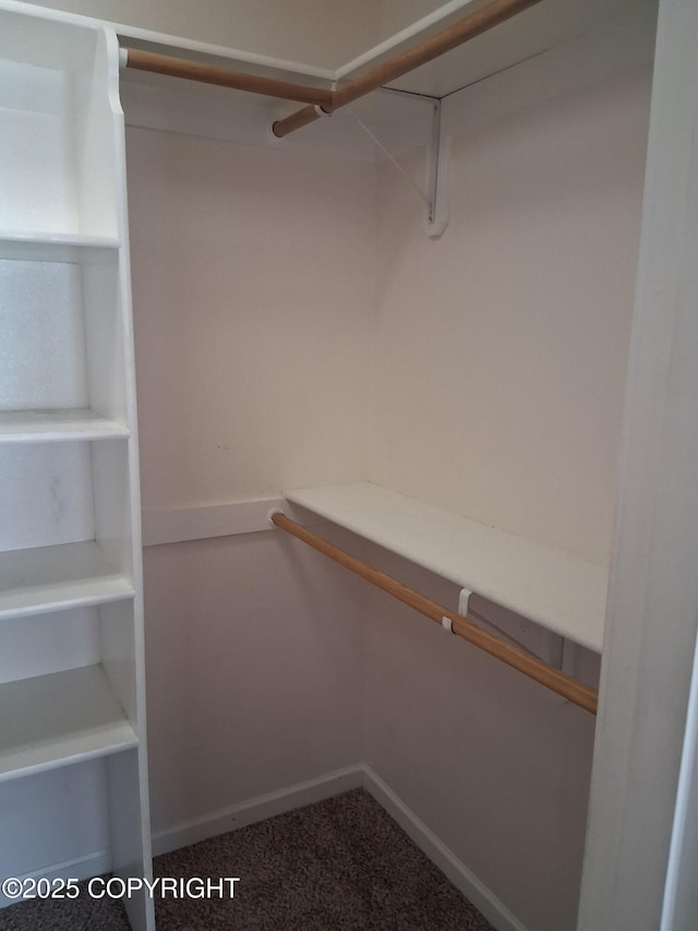 1012 Channel Way, Kenai, AK 99611 - view of walk in closet