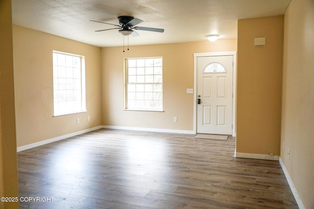 foyer entrance featuring a ceiling fan, a healthy amount of sunlight, and wood finished floors