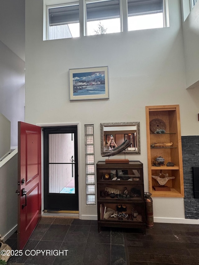 foyer featuring a healthy amount of sunlight and a high ceiling