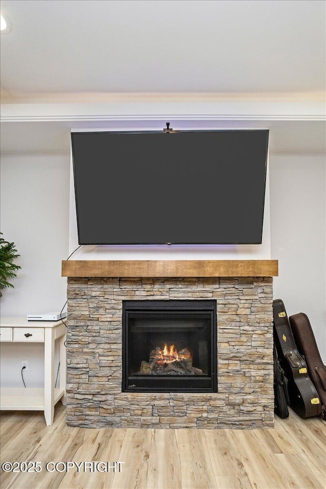 details with a fireplace and wood finished floors