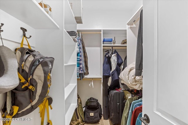 view of walk in closet