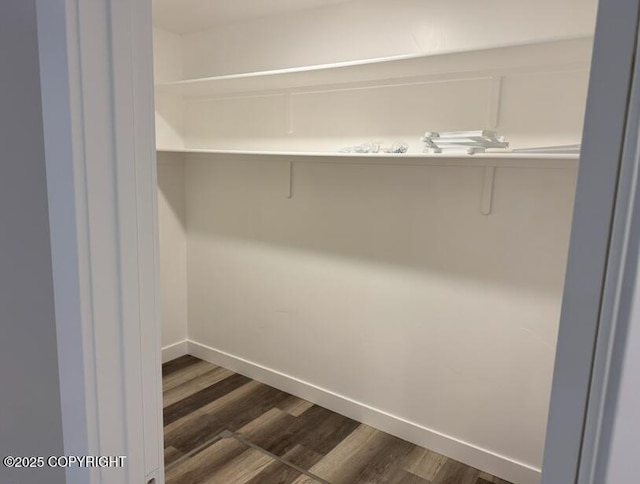 view of closet
