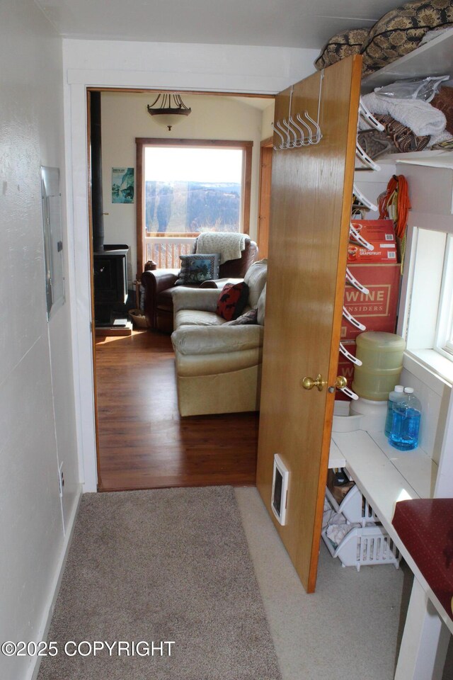 hall featuring carpet floors and electric panel