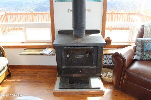 room details with baseboards, wood finished floors, and a wood stove