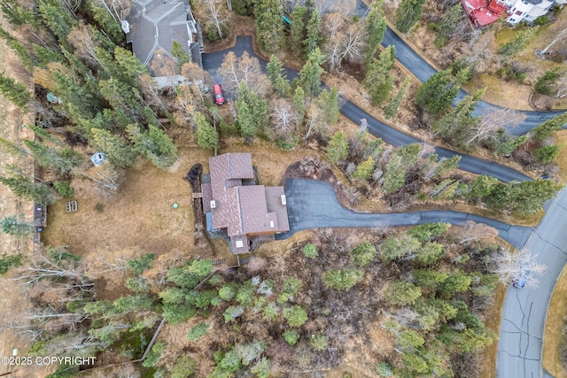 bird's eye view