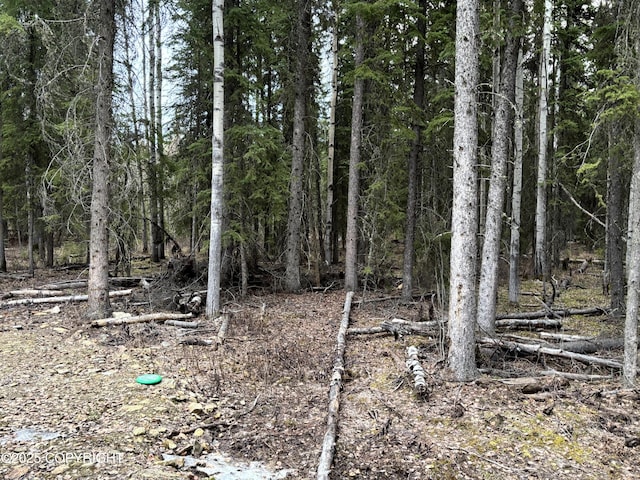 view of nature