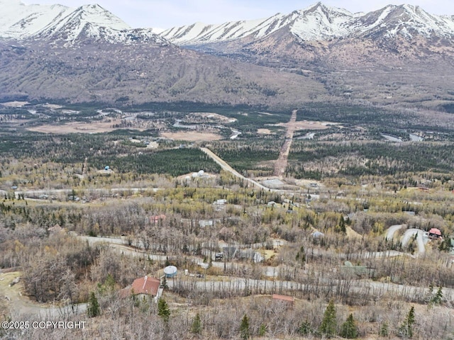 23675 Glacier View Dr, Eagle River, AK 99577 - view of mountain feature