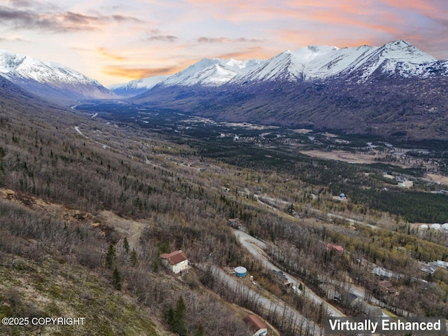 23675 Glacier View Dr, Eagle River, AK 99577 - view of mountain feature