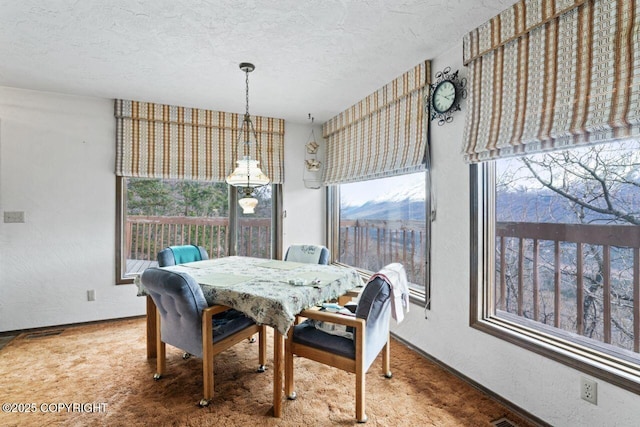 23675 Glacier View Dr, Eagle River, AK 99577 - dining room with visible vents, a textured wall, baseboards, a textured ceiling, and a notable chandelier