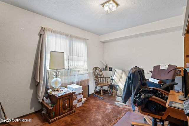 23675 Glacier View Dr, Eagle River, AK 99577 - office space with a textured ceiling and baseboards