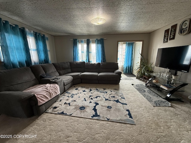 view of carpeted living area