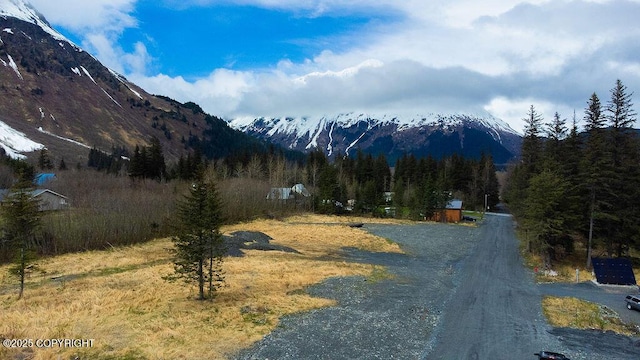 2403 Maple St, Seward, AK 99664