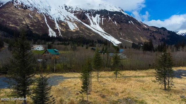 2403 Maple St, Seward, AK 99664