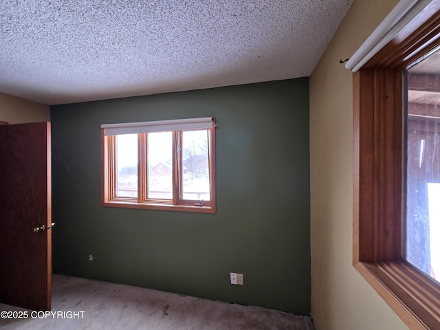 empty room featuring carpet and a textured ceiling