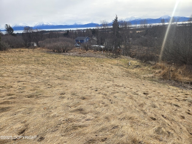 view of yard featuring a rural view and a mountain view