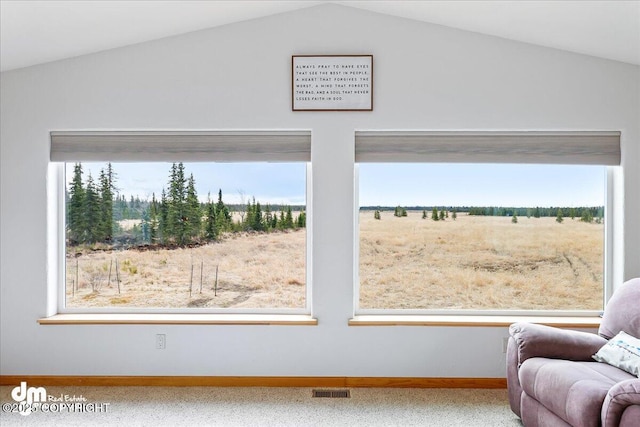 room details with carpet flooring, visible vents, and baseboards