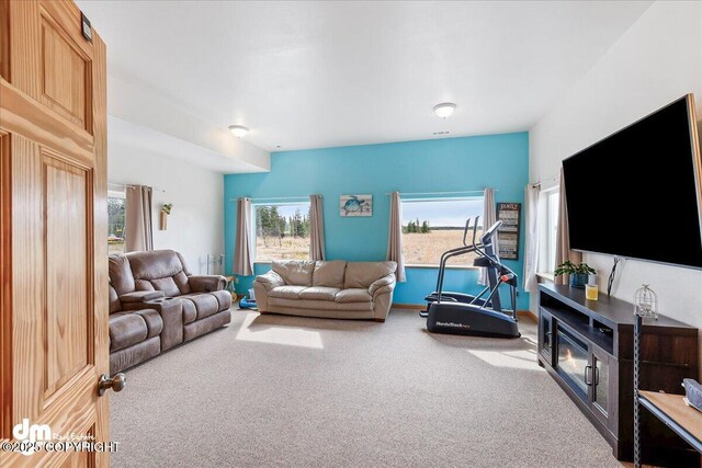 living area featuring carpet floors