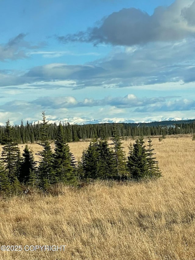 view of nature featuring a rural view