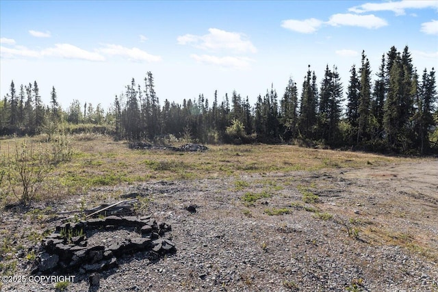 1369 Morning Glory Loop, North Pole, AK 99705 - view of undeveloped land