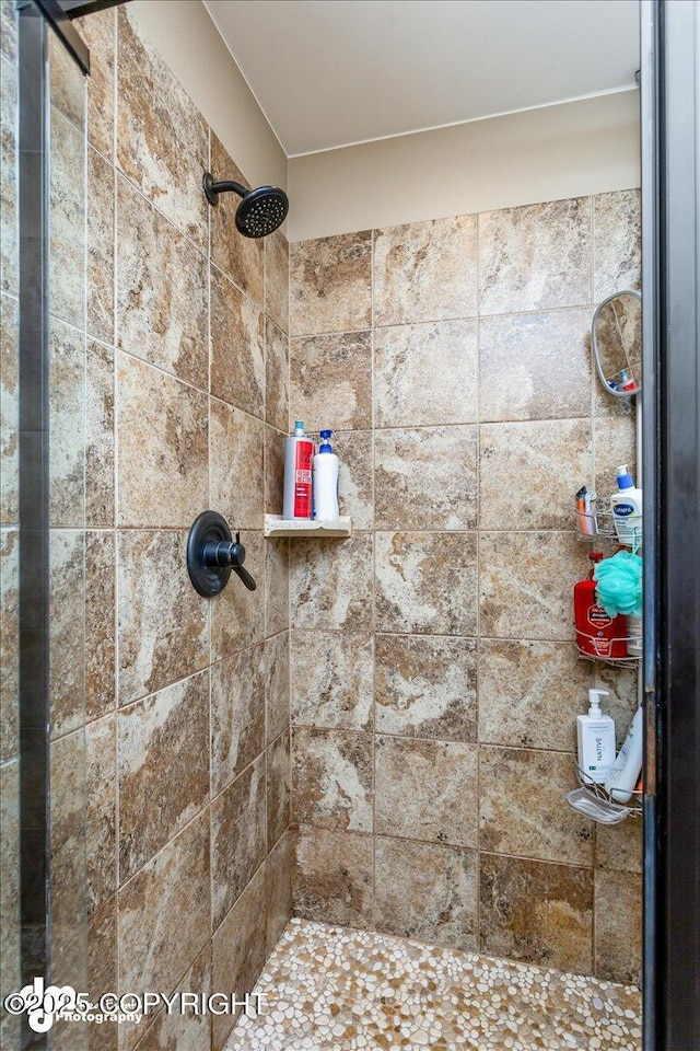 7865 S Settlers Bay Dr, Wasilla, AK 99623 - full bath with tiled shower