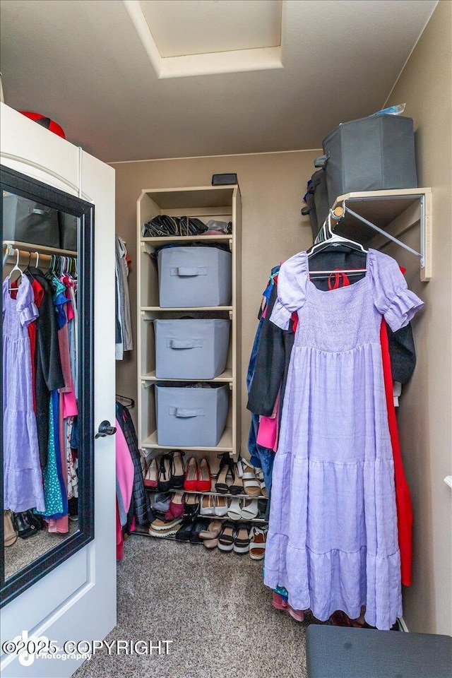 7865 S Settlers Bay Dr, Wasilla, AK 99623 - walk in closet with carpet flooring and attic access