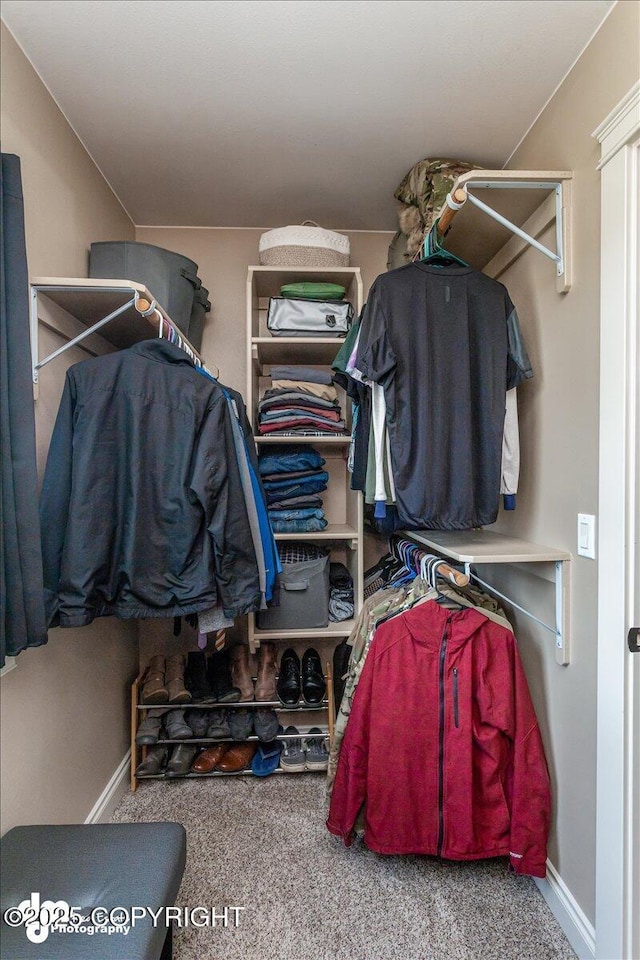 7865 S Settlers Bay Dr, Wasilla, AK 99623 - spacious closet with carpet