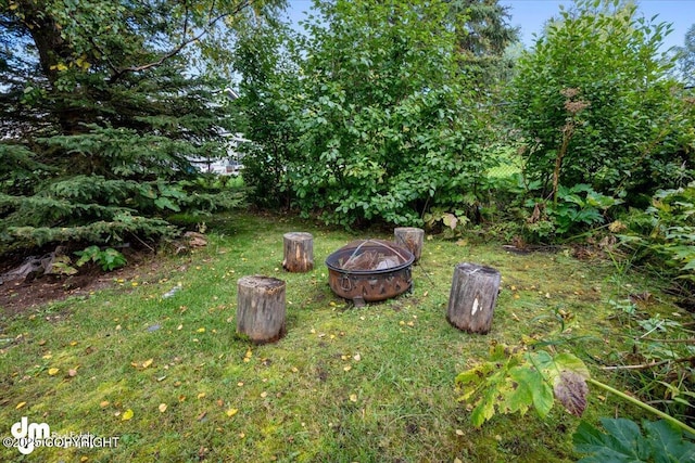 view of yard with a fire pit